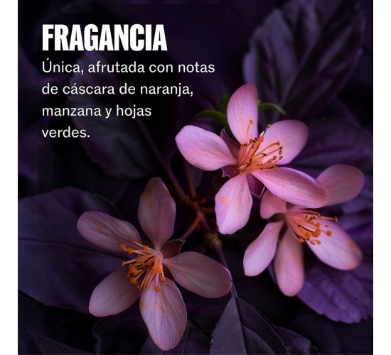 fragancia floral del acondicionador wella ultimate color