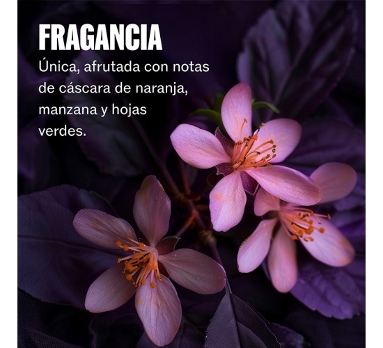 fragancia floral de la mascarilla wella ultimate color