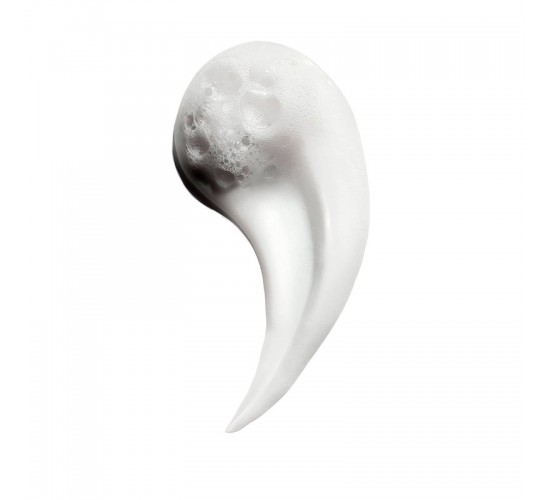 Champú profesional L’Oréal Expert Metal Detox
