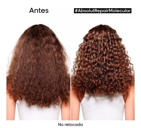 L’Oréal Expert Absolut Repair nutrición intensa
